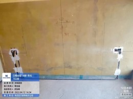 白鹭金岸