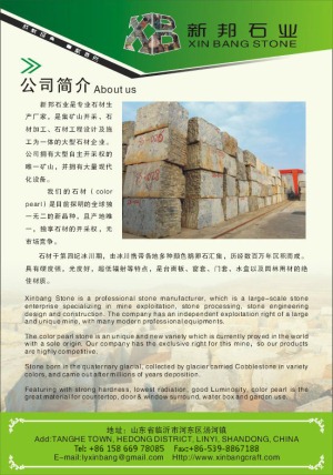 公司介绍