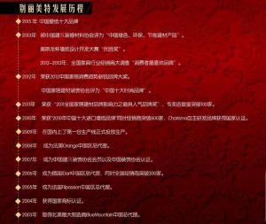 公司介绍