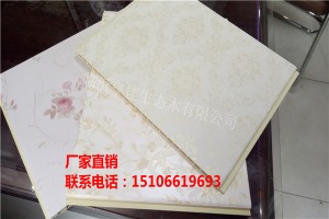 公司介绍