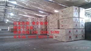 公司介绍