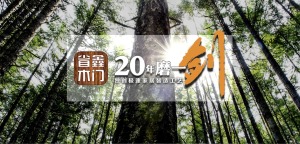 公司介绍