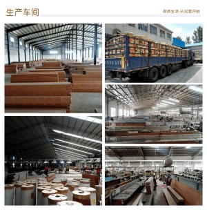 公司介绍