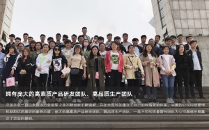 公司介绍