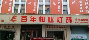 公司介绍